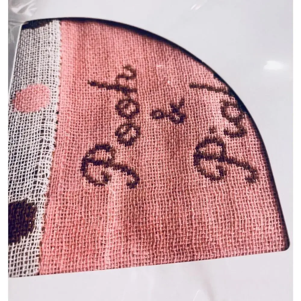 Disney Winnie The Pooh Imabari Triple Layer Dishcloth, Dish Drying Towel